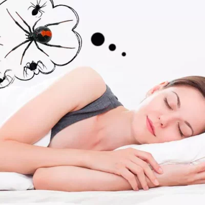 К чему снится убить паука во сне?