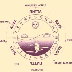 картинка 21