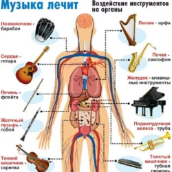 картинка 24