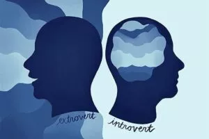 Преимущества интроверта или экстраверта